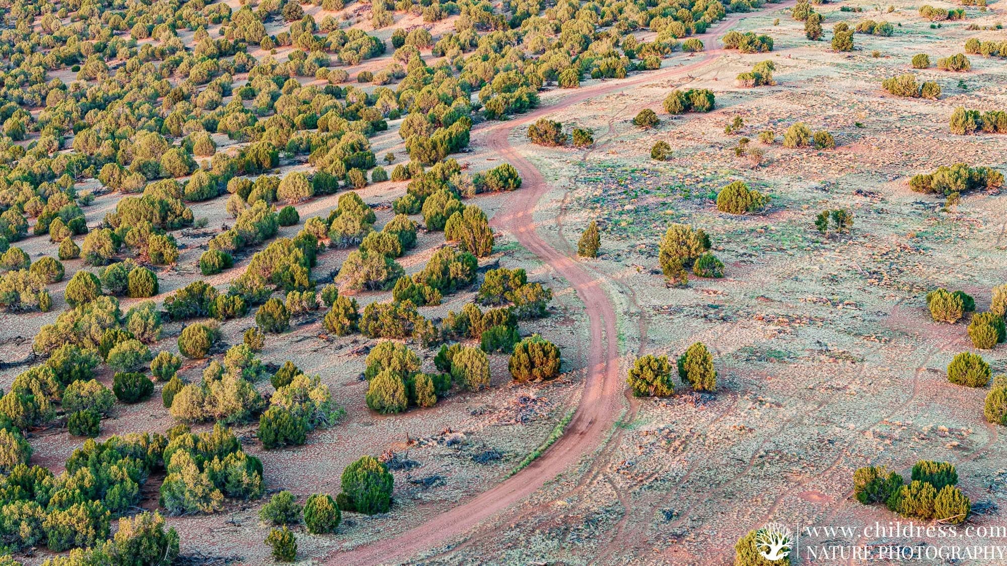 Aerial view of a dirt trail winding through Arizona high-country juniper landscape