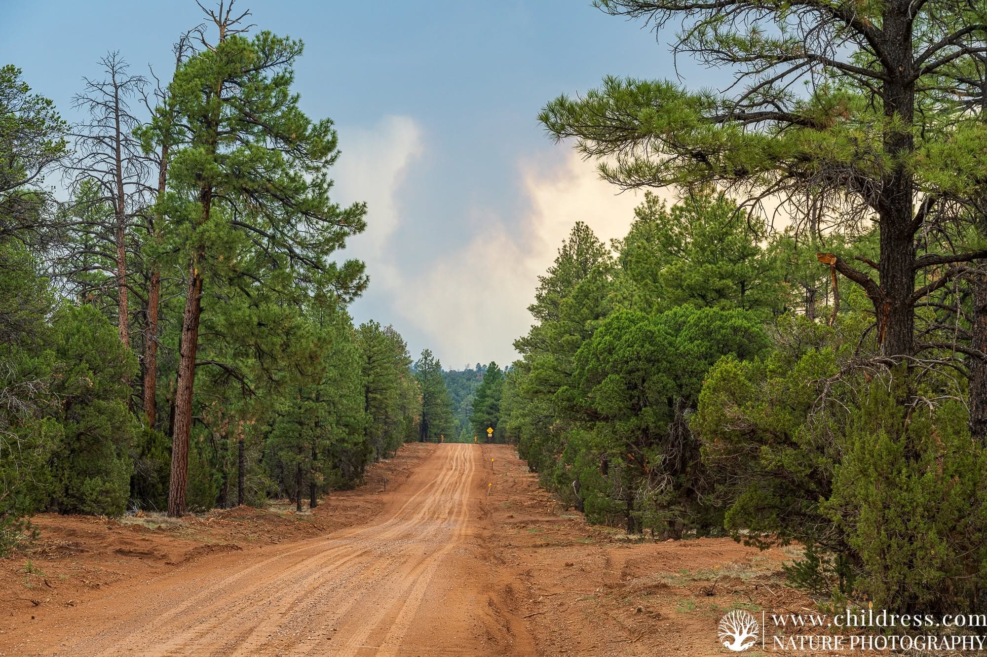 Arizona Alpine Trail route terrain for Rusty 1000 itinerary